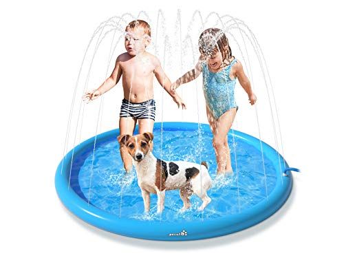 Piscina Inflable Para Mascotas